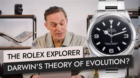 rolex darwin